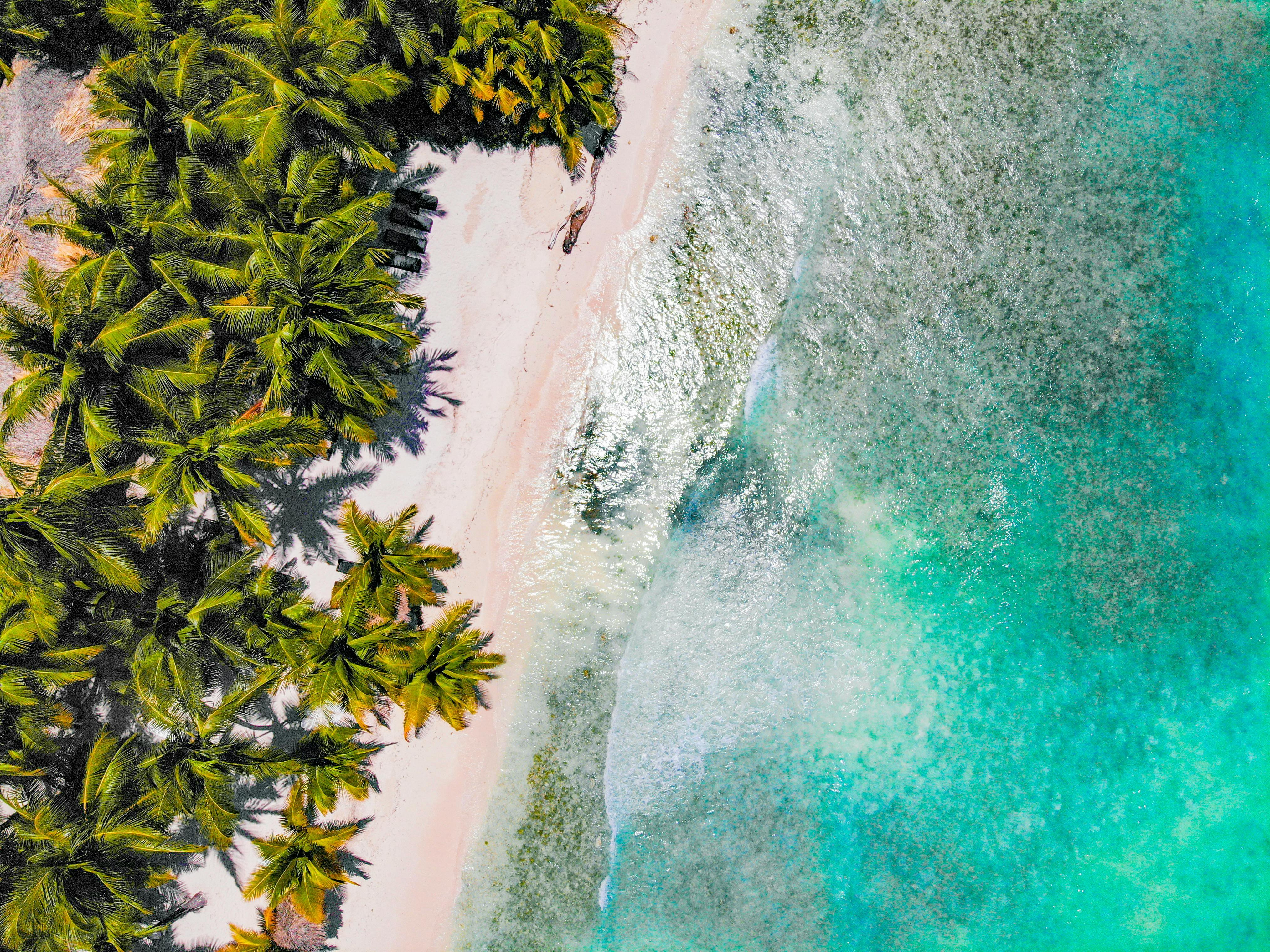 The Hawaiian Spirit of Aloha: Living with Gratitude & Love