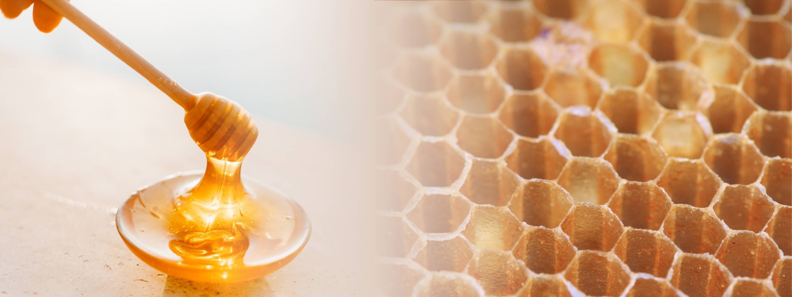 Golden honey drizzles from a wooden honey dipper onto a smooth surface, glistening in the soft sunlight. The rich amber tones contrast with the delicate, blurred background. On the right, a detailed close-up of a honeycomb showcases its intricate hexagonal pattern, bathed in warm, golden hues. The seamless transition between the two elements highlights the natural beauty and purity of honey.
