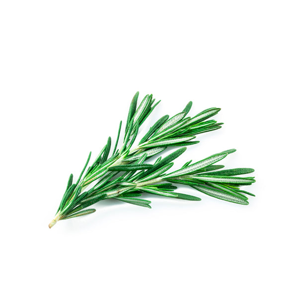 Rosemary